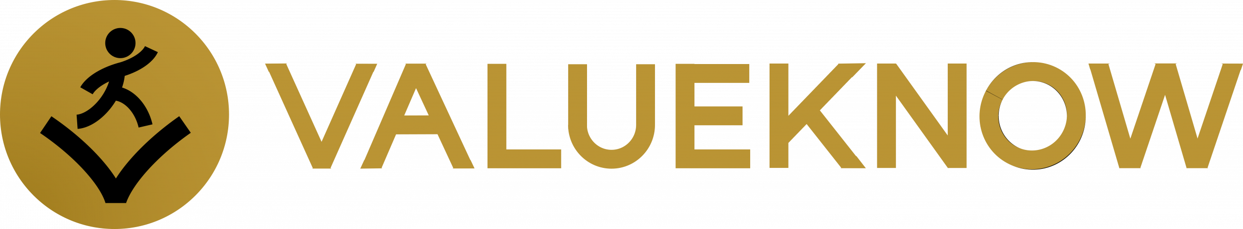 ValueKnow Logo
